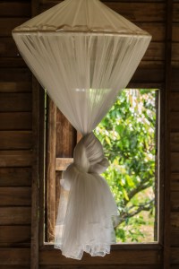 guesthouse homestay chiang rai nature chez l'habitant