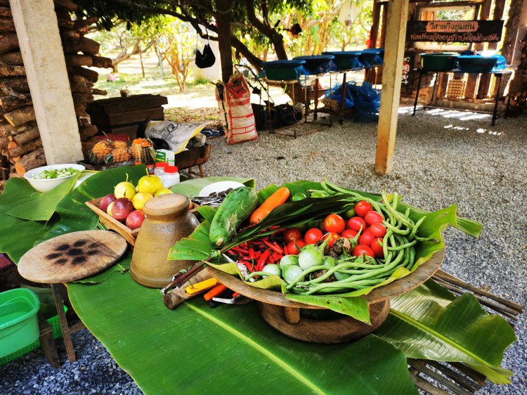 cooking class chiang rai organic food thailand homestay chez l'habitant 