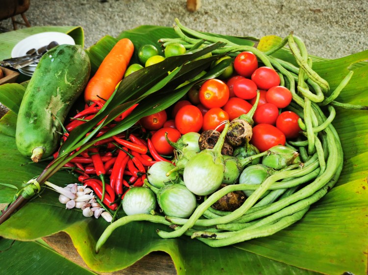 cooking class chiang rai organic food thailand homestay chez l'habitant 