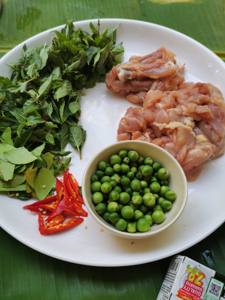 cooking class chiang rai organic food thailand homestay chez l'habitant