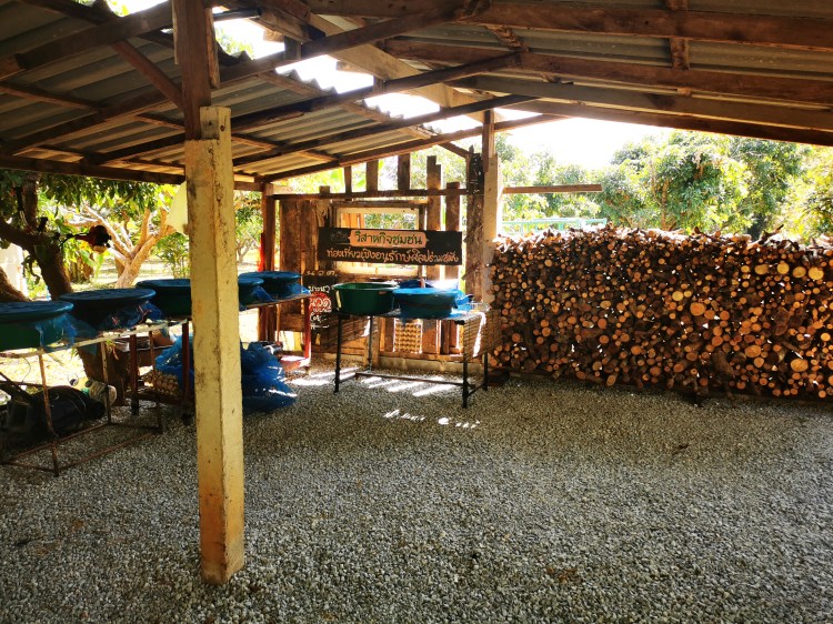 cooking class chiang rai organic food thailand homestay chez l'habitant