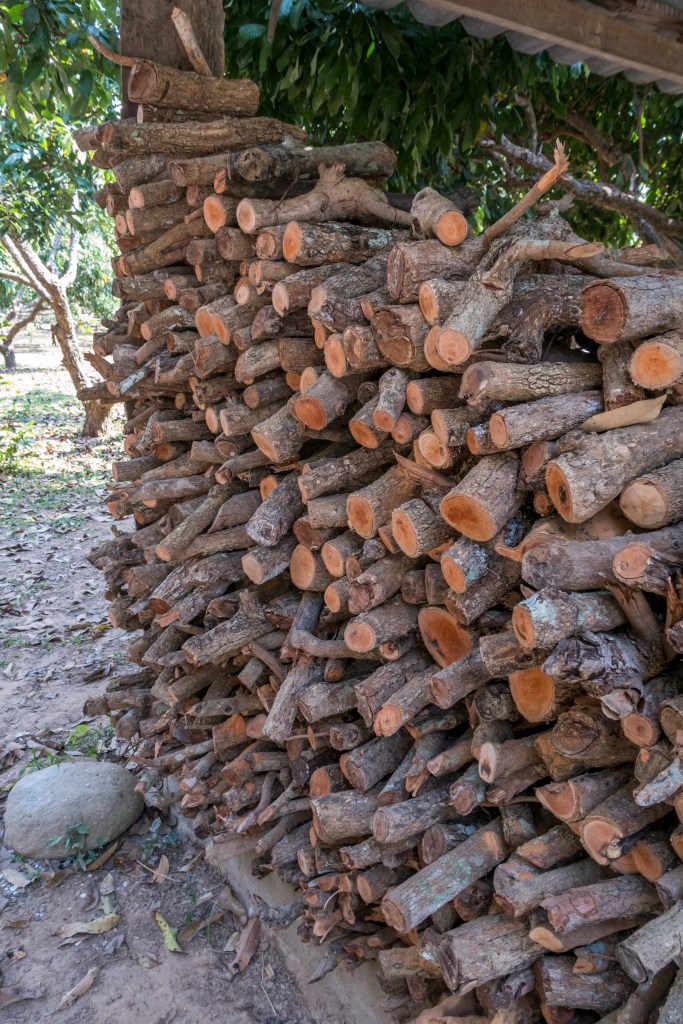 herbal spa sauna chiang rai therapeutic traditional medicine thai thailand homestay out of the tracks chez l'habitant